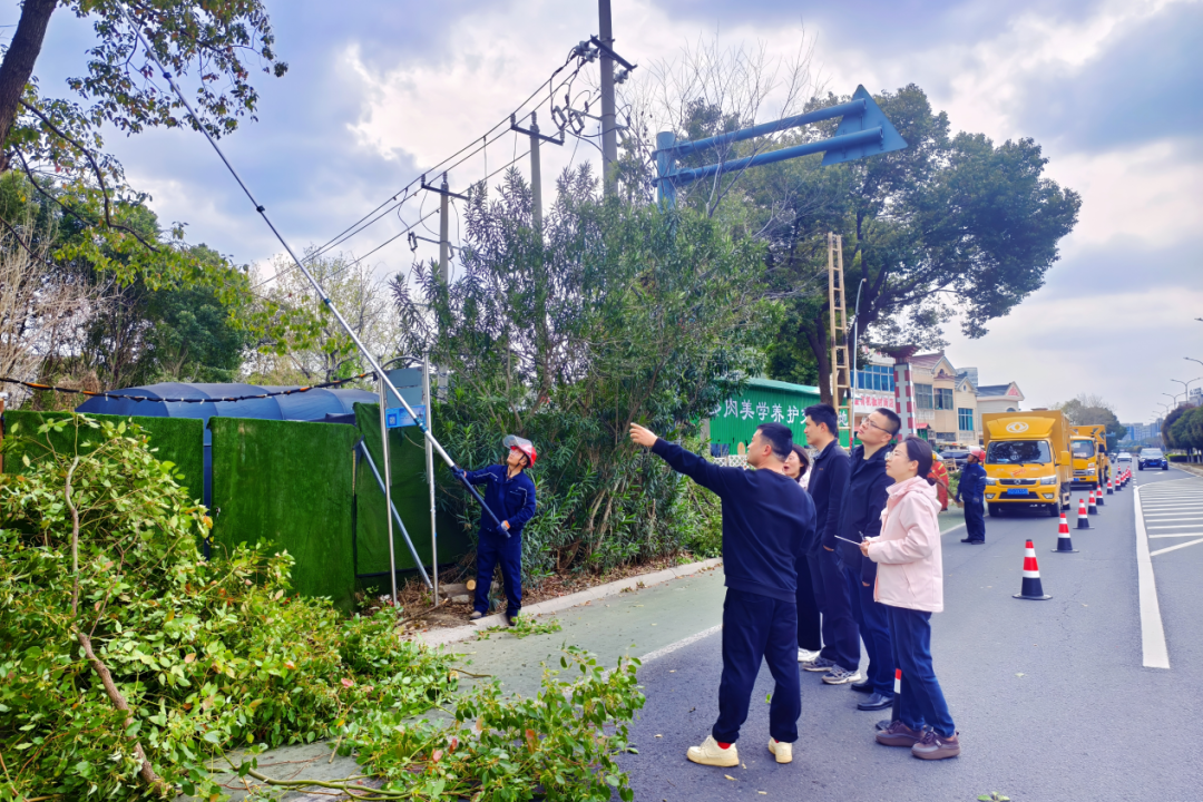 武进审计：聚焦道路绿化管养质效  擦亮城市生态底色